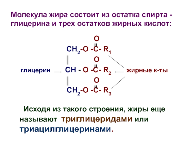 Простые липиды жиры. Структура молекулы жира. Жиры молекулярное строение. Строение молекулы жира схема. Строение молекулы жира.