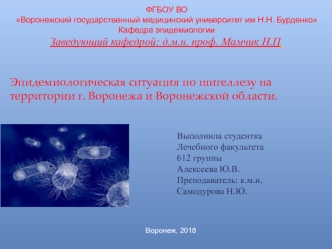 Эпидемиологическая ситуация по шигеллезу на территории г. Воронежа и Воронежской области