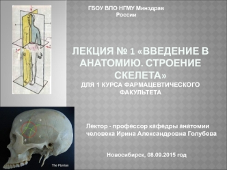 Лекция 1. Введение в анатомию. Строение скелета. 1 курс фармацевтического факультета