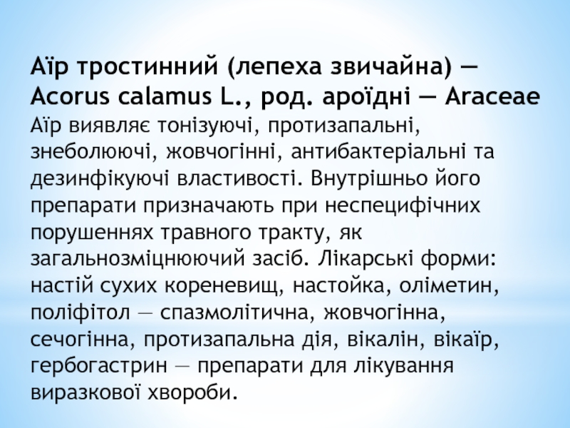 Реферат: Аїр звичайний Acorus calamus L