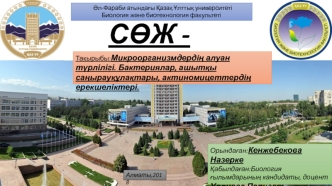 Микроорганизмдердің алуан түрлілігі. Бактериялар, ашытқы саңырауқұлақтары, актиномицеттердің ерекшеліктері