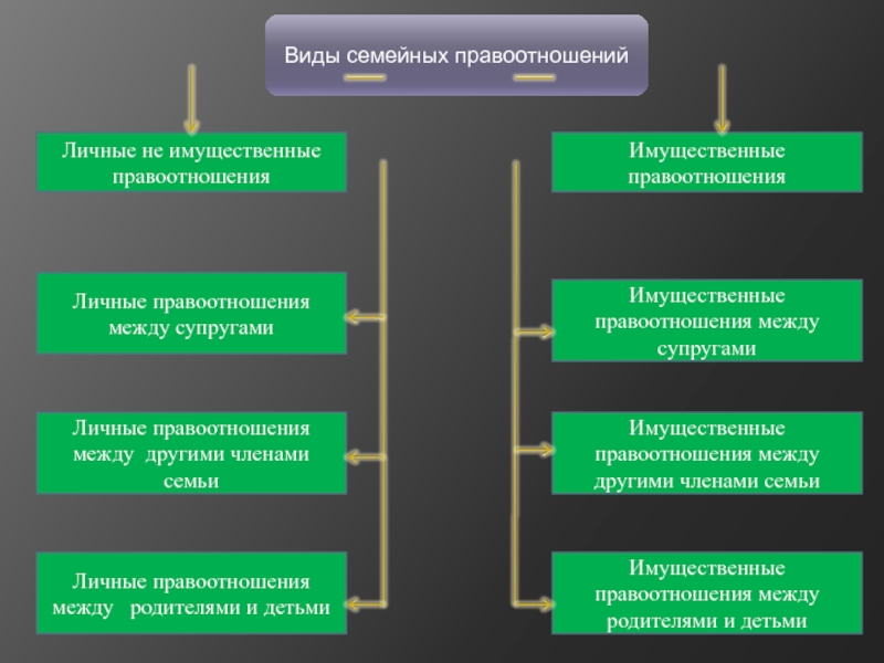 Имущественные отношения между супругами виды