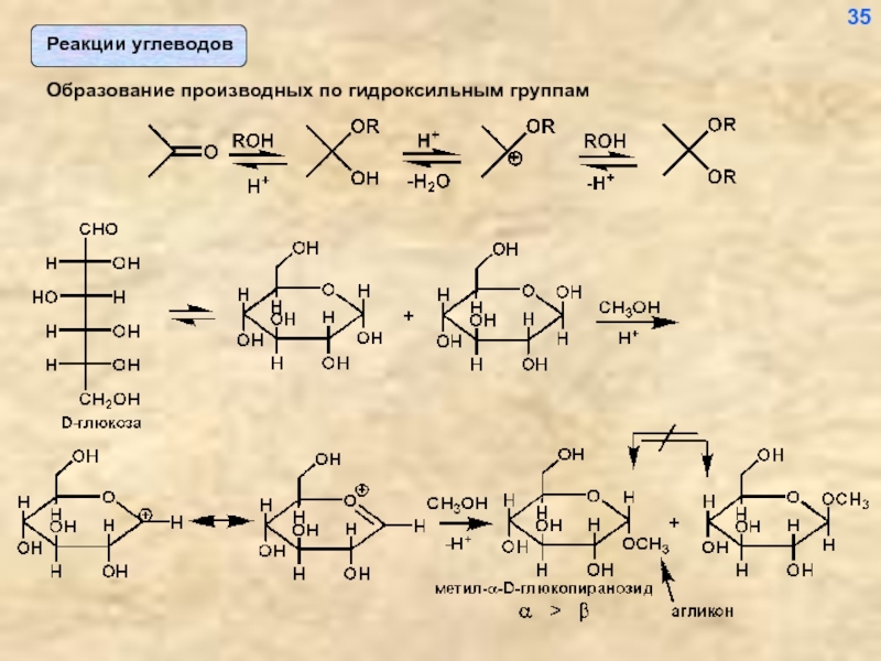 Образование производных. Механизм реакции гидроксильной группы. Реакции углеводов. Качественные реакции на углеводы. Ароматические аминокислоты.