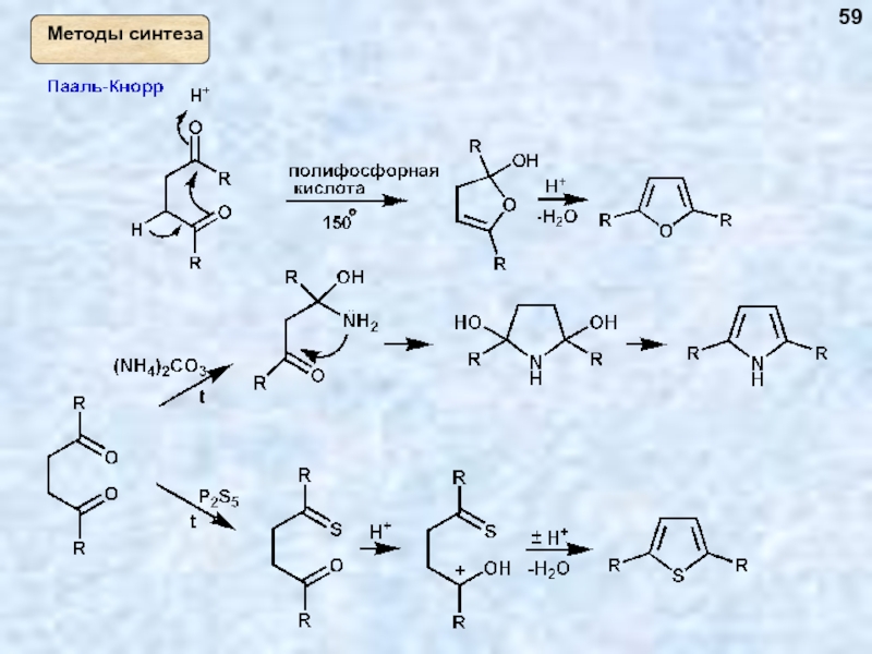 Синтез в направлении 3 3 5. Синтез Пааля Кнорра. Синтез Пааля Кнорра пиррол механизм. Механизм Пааля Кнорра. 2,5 Гександион Синтез Пааля-Кнорра.