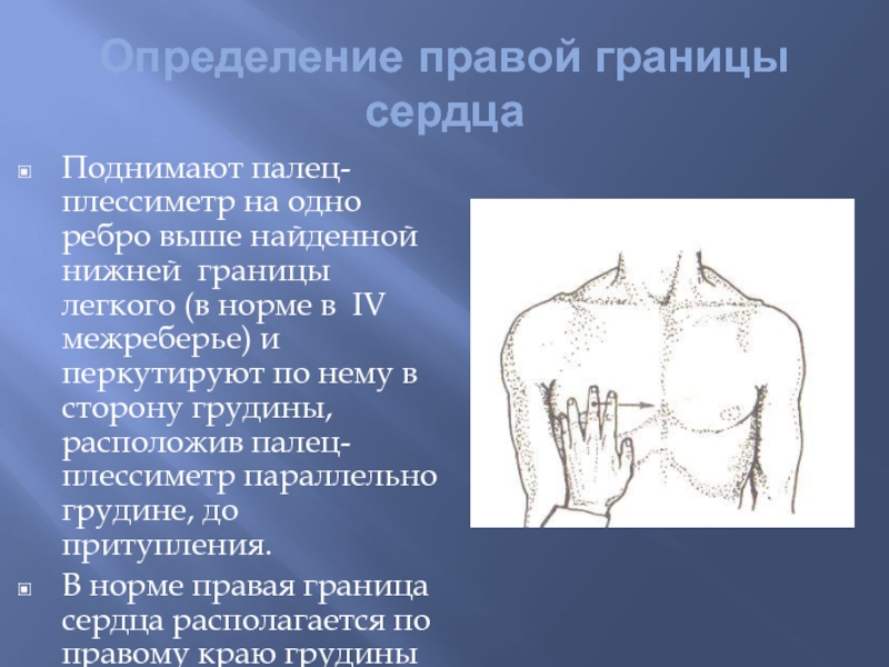 Определение границ легких. Определение границ сердца. Перкуссия палец плессиметр. Положение и движение пальца-плессиметра при перкуссии сердца..