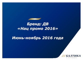 Бриф ДВ Нац промо 2016