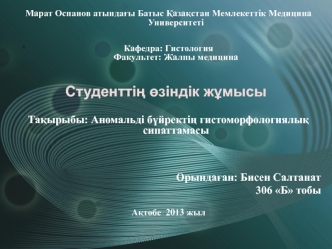 Аномальді бүйректің гистоморфологиялық сипаттамасы