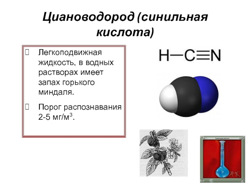 Газообразная кислота н у. Синильная кислота структура. Синильная кислота (Цианид). Циановодород структурная формула. Синильная кислота формула химическая.