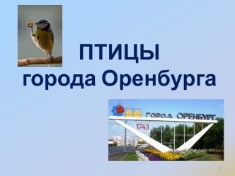 Птицы города Оренбурга