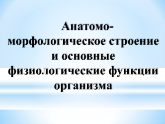 Анатомо-морфологическое строение и основные физиологические функции организма