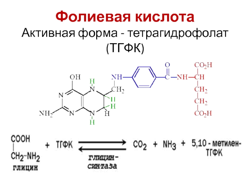 Фолиевая б9. Производные кофермента фолиевой кислоты. Витамин b9 структурная формула. Витамин б9 кофермент. Витамин в9 структурная формула.