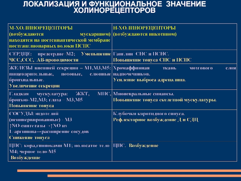 Локализация проекта это