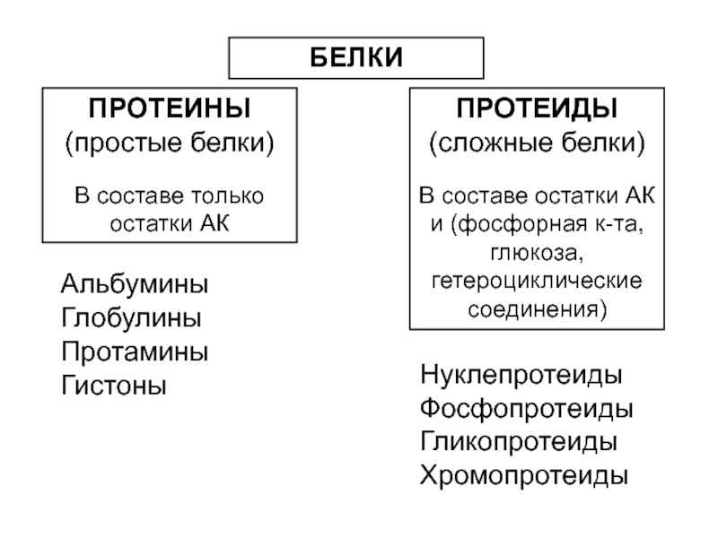 Состав сложных белков