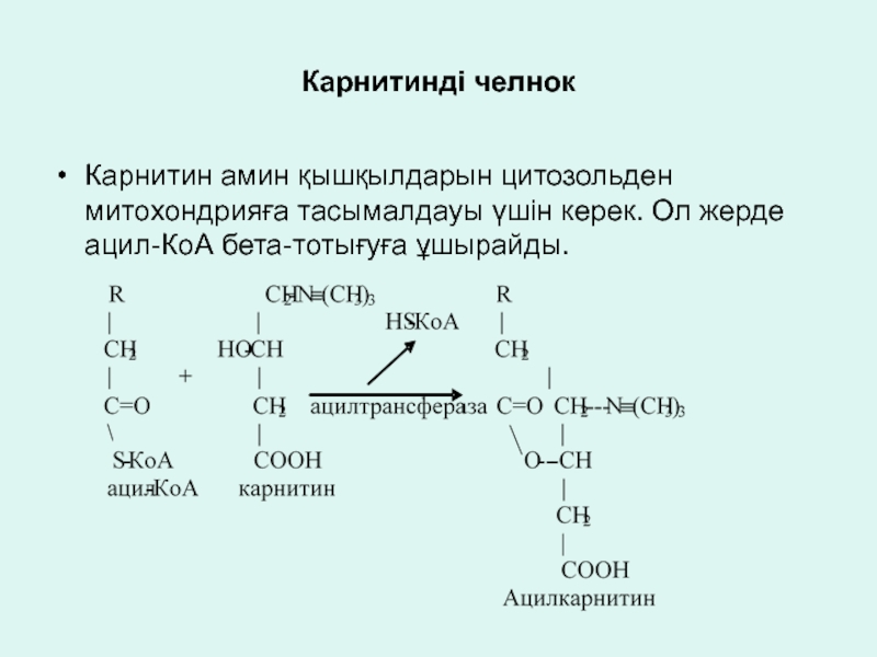 Схемы челночных механизмов биохимия