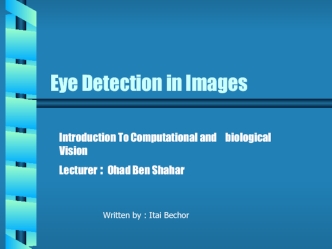 Eye Detection in Images Introduction To Computational and biological Vision