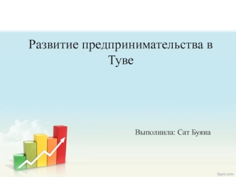 Развитие предпринимательства в Туве