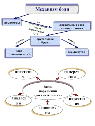 Механизм боли