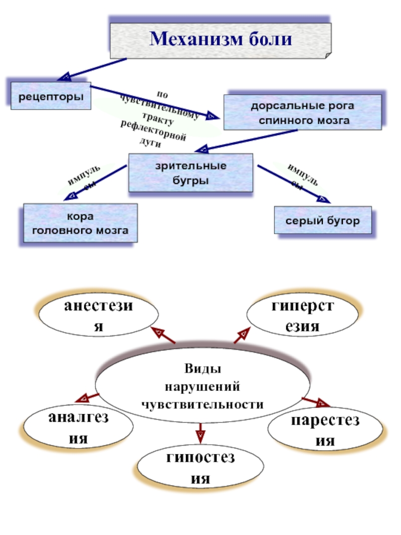 Механизмы боли. Механизм боли. Системные механизмы боли.