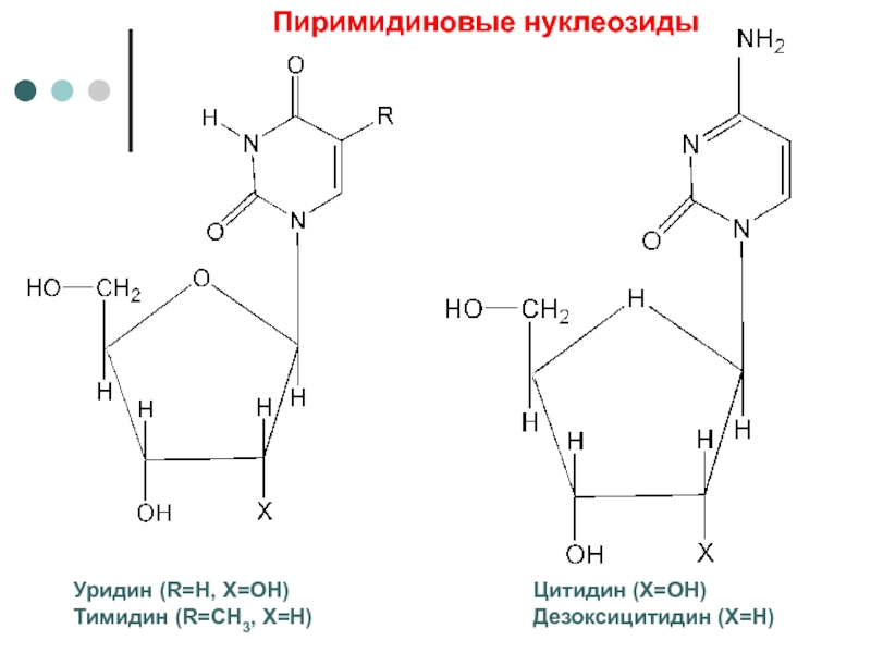 Схема образования дезоксицитидина