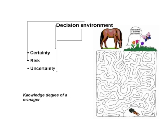 Decision environment