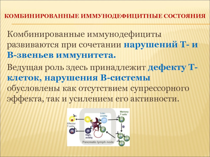 Первичные иммунодефицитные состояния презентация