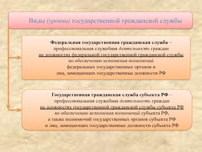 Виды государственной гражданской службы. Основы государственной гражданской службы. Уровни государственной гражданской службы. Виды и уровни госслужбы. Государственная Гражданская служба Оренбургской области.