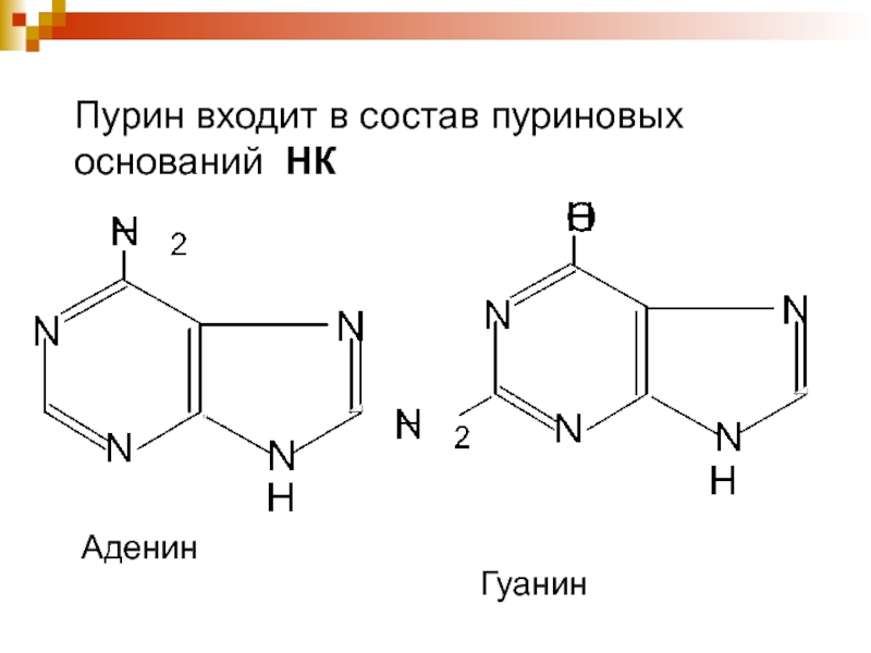 Аденин соответствует