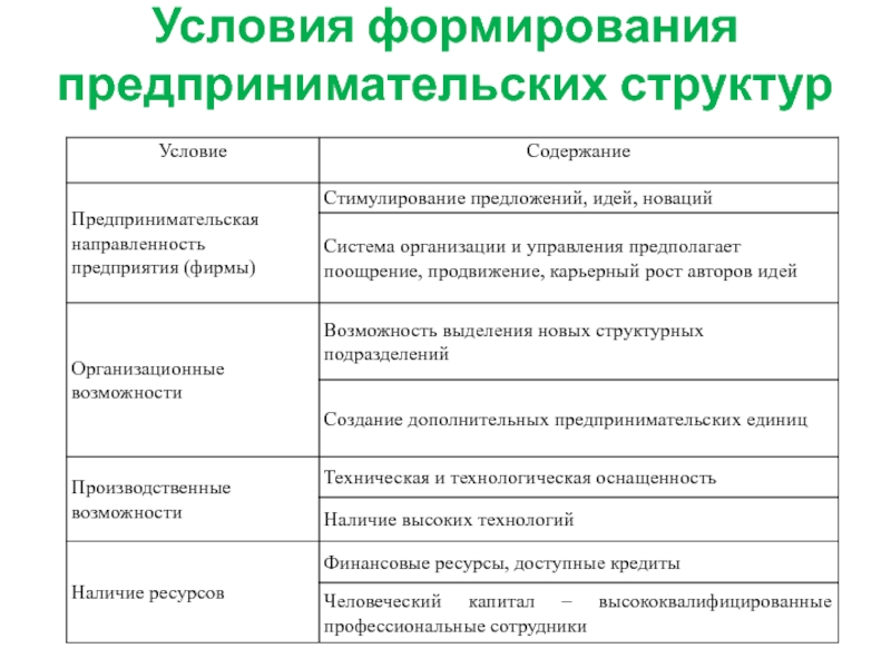 Предпринимательская структура организации