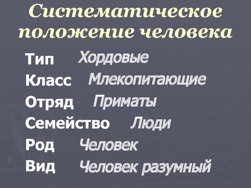 Тип класс отряд семейство род вид. Таксономическое положение человека. Систематическое положение млекопитающих. Таксономическое положение вида человек разумный. Систематическое положение приматов.