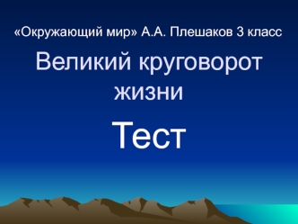 Тест 