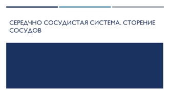 Сердечно-сосудистая система. Строение сосудов