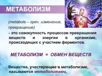 Метаболизм - обмен веществ