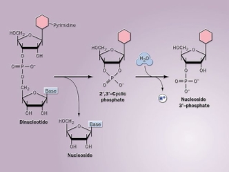 Functions of proteins