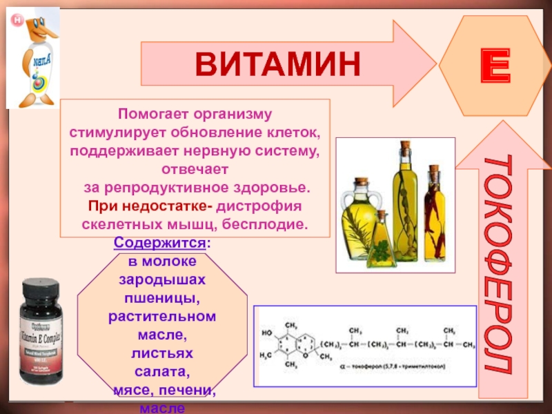 Витамины реферат