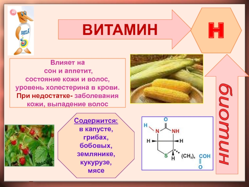 История открытия витаминов презентация