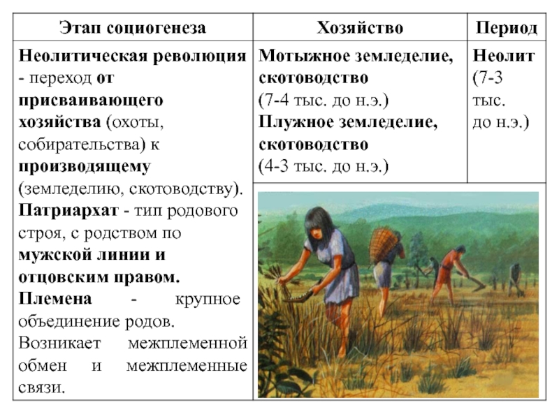 Понятия антропогенеза и социогенеза