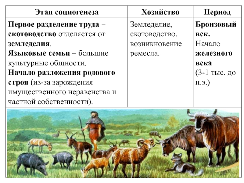 Древнейшая стадия истории