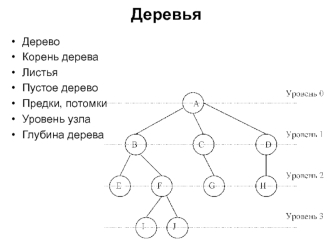 Деревья. Двоичные (бинарные) деревья