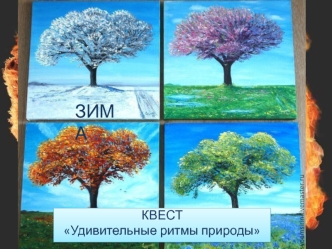 Удивительные ритмы природы. Зима