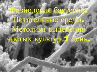 Физиология бактерий. Питательные среды. Методика выделения чистых культур 1 день