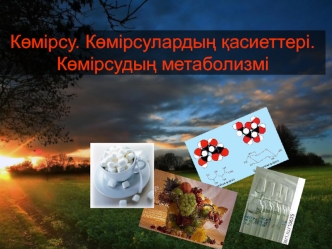 Көмірсу. Көмірсулардың қасиеттері. Көмірсудың метаболизмі