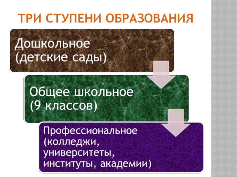 Ступени обучения. Три ступени образования. Презентация ступени образования. Ступени образования картинки. Ступени образования в институте.