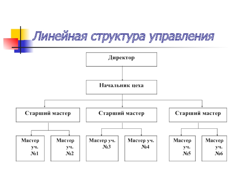 Определите структуру управления