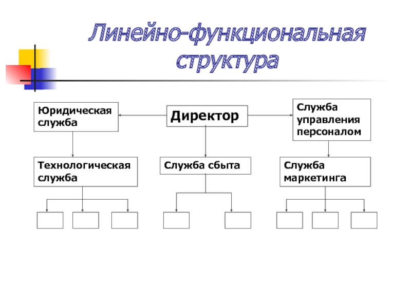 Линейно функциональная модель. Линейно-функциональная структура.