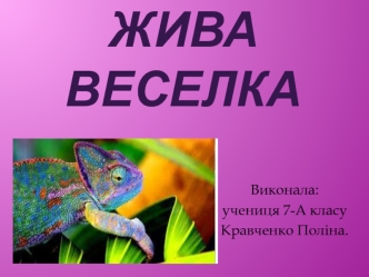 Хамелеон. Жива веселка