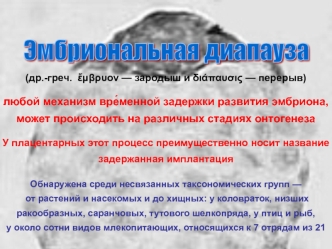 Эмбриональная диапауза