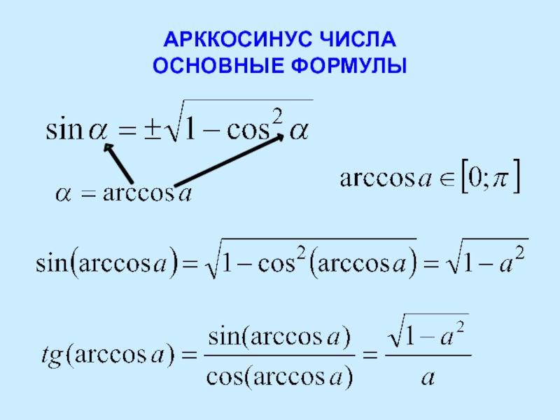 Вычисляет арккосинус числа