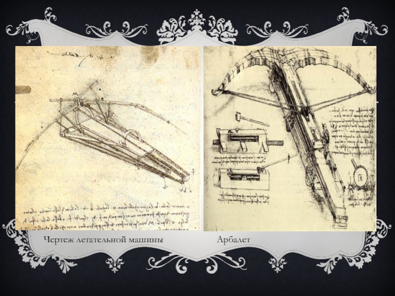 Когда леонардо да винчи сидел над чертежами летательной