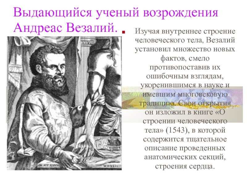 Везалий открытия