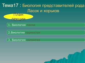 Биология представителей рода ласок и хорьков